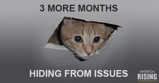 2 more months hillary clinton cat hiding WEBSITE