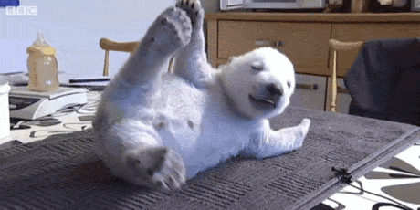 polarwakingup.gif