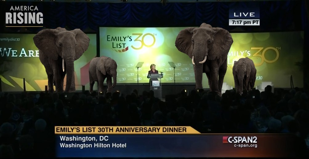 Hillary clinton elephant emilys list emilyslist30