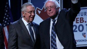 harry bernie
